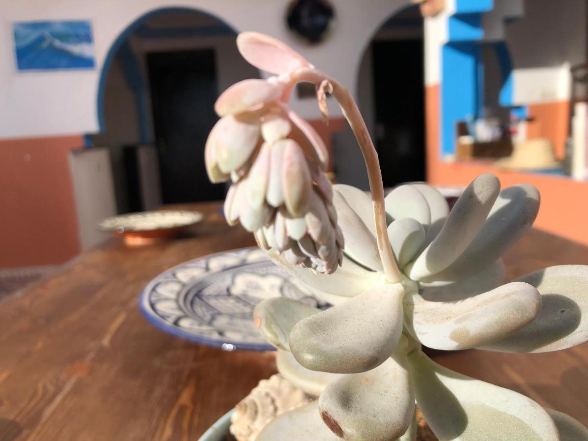 Binic Surf House Bed & Breakfast Taghazout Exterior photo
